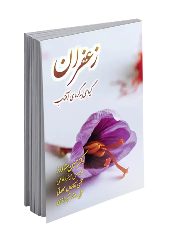 زعفران، گیاهی به گرمی آفتاب | اثری علمی از دکتر حسین ستاورز